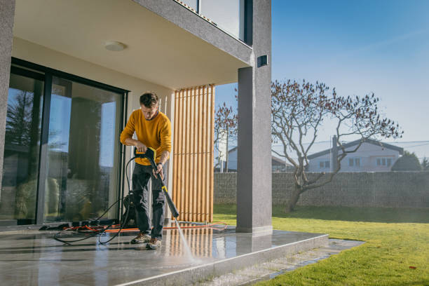 Best Roof Washing  in Merrionette Park, IL